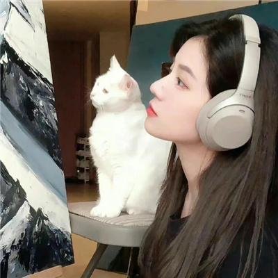 满目皆琳琅
